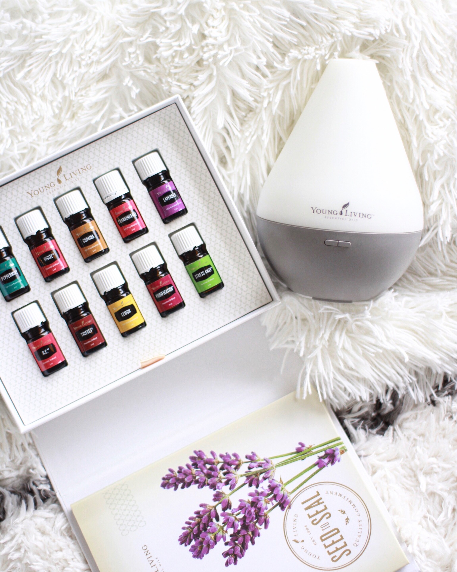 Jeden z nejsnadnějších začátků